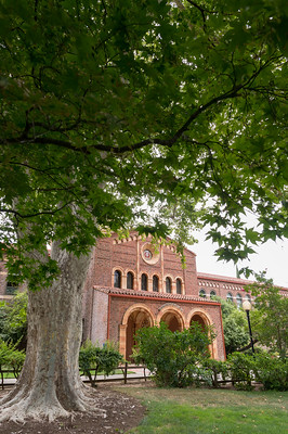 American Language and Culture Institute (ALCAI) – CSU Chico